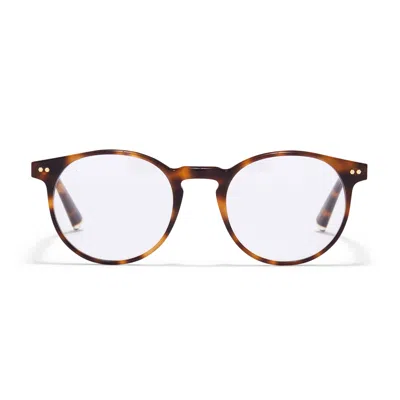 Taylor Morris Eyewear Tm014-c5 In Brown