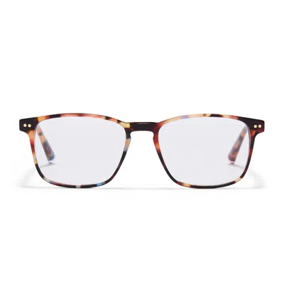 Taylor Morris Eyewear Tm016-c4 In Brown