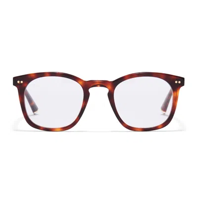 Taylor Morris Eyewear Tm018-c3 In Brown