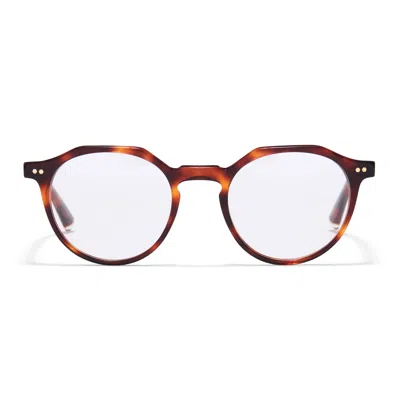 Taylor Morris Eyewear Tm020-c5 In Brown