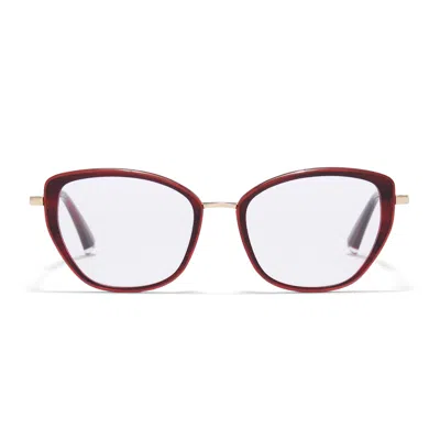Taylor Morris Eyewear Tm021-c3 In Pattern
