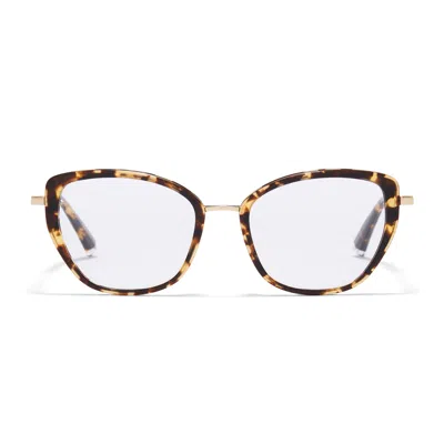 Taylor Morris Eyewear Tm021-c4 In Blue