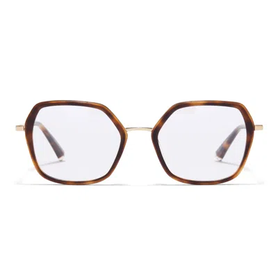 Taylor Morris Eyewear Tm022-c3 In Brown