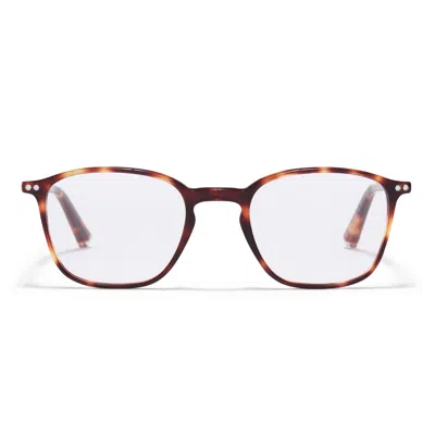 Taylor Morris Eyewear Tm024-c3 In Brown