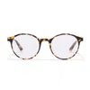 Taylor Morris Eyewear Tm026-c3
