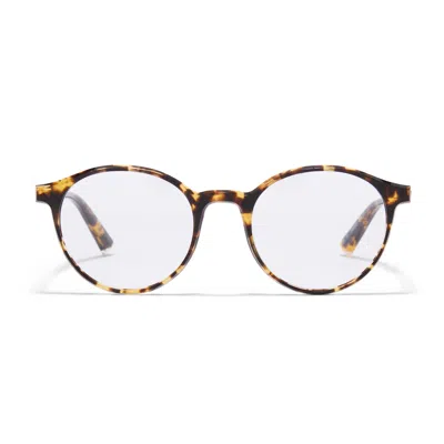 Taylor Morris Eyewear Tm026-c3 In Black