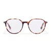 TAYLOR MORRIS EYEWEAR TM027-C3