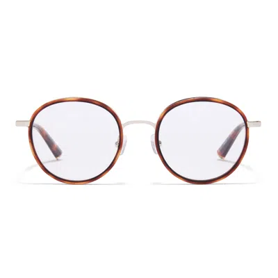 Taylor Morris Eyewear Tm028-c4 In Brown