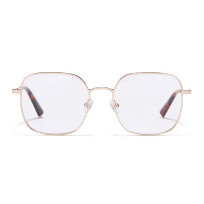 Taylor Morris Eyewear Tm029-c2 In Gold