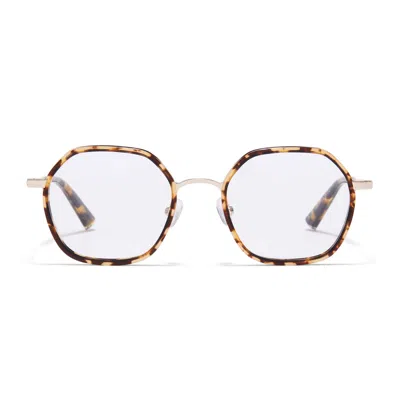 Taylor Morris Eyewear Tm031-c4 In Brown