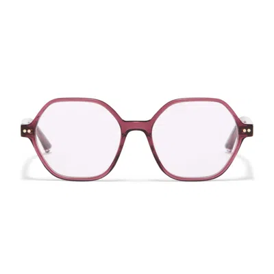 Taylor Morris Eyewear Tm037-c2 In Burgundy