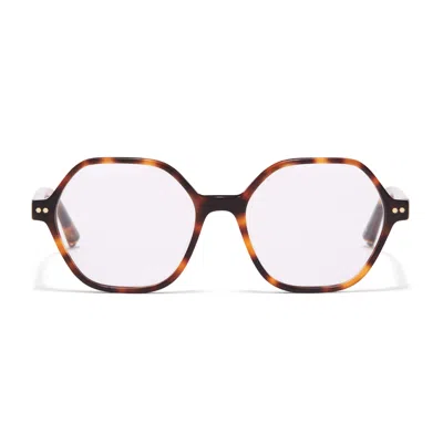 Taylor Morris Eyewear Tm037-c4 In Pink