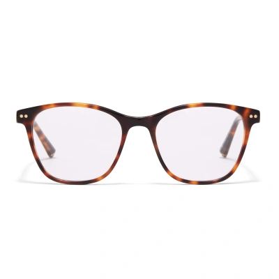 Taylor Morris Eyewear Tm039-c2 In Black