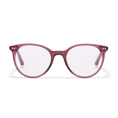 Taylor Morris Eyewear Tm040-c4 In Purple