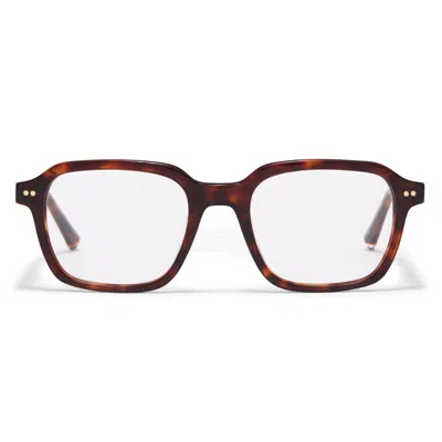 Taylor Morris Eyewear Tm041-c2 In Brown