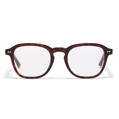 Taylor Morris Eyewear Tm042-c2 In Brown