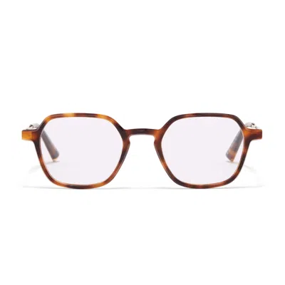 Taylor Morris Eyewear Tm044-c2 In Brown