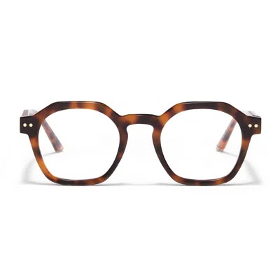 Taylor Morris Eyewear Tm058-c5