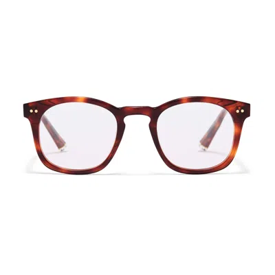 Taylor Morris Eyewear W8 C3 Glasses In Brown