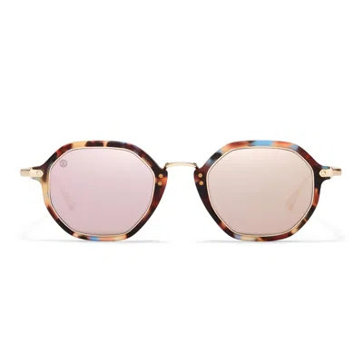 Taylor Morris Eyewear Westbourne Sunglasses In Brown