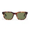 Taylor Morris Eyewear Windsor Sunglasses