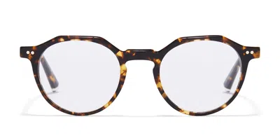 Taylor Morris Tm019 C3 Men's Glasses Tortoiseshell Size 48 - Free Lenses - Blue Light Block Available In Brown