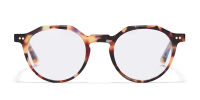 Taylor Morris Tm019 C5 Men's Glasses Tortoiseshell Size 48 - Free Lenses - Blue Light Block Available In Brown