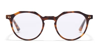 Taylor Morris Tm020 C2 Men's Glasses Tortoiseshell Size 50 - Free Lenses - Blue Light Block Available In Brown