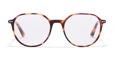 Taylor Morris Tm027 C3 Men's Glasses Tortoiseshell Size 51 - Free Lenses - Blue Light Block Available In Brown