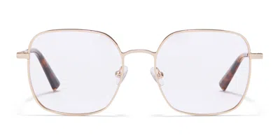 Taylor Morris Tm029 C2 Men's Glasses Gold Size 53 - Free Lenses - Blue Light Block Available