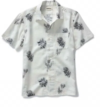 Taylor Stitch Men's Hawthorne Shirt In Cactus Sketch In White