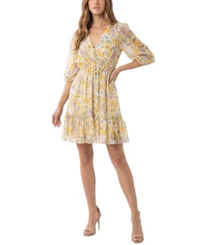 Taylor Women's Floral V-neck A-line Dress