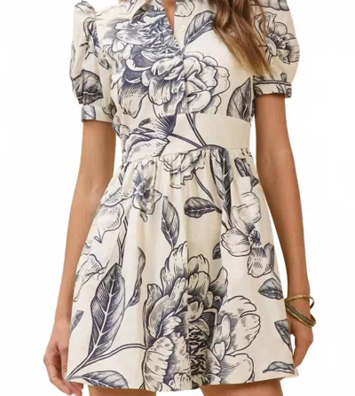 Tcec Collar Floral Print Mini Dress In Cream In White