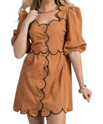 Tcec Contrast Scalloped Dress In Brown
