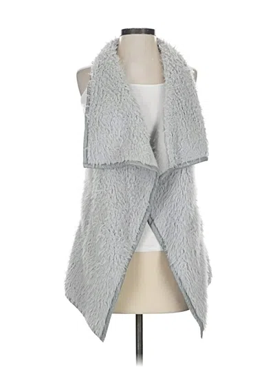Pre-owned Tcec Faux Fur Vest In Gray
