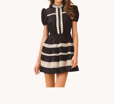 Tcec Scalloped Lace Mini Dress In Black