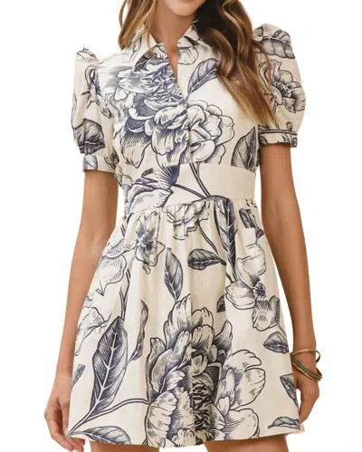 Tcec Women's Floral Print Dress In Cream/navy In Multi