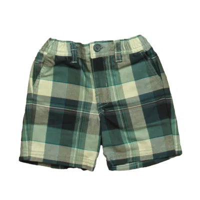 Pre-owned Tea Kids' Boys Blue Plaid Shorts