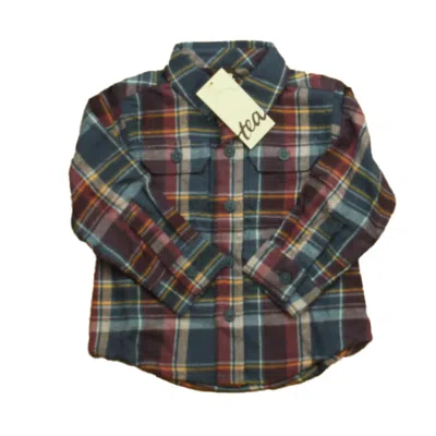 Tea Kids' Boys Blue Red Plaid Button Down Long Sleeve In Multi
