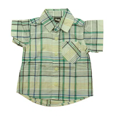 Pre-owned Tea Kids' Boys Blue Yellow Plaid Button Down Short Sleeve In Multi