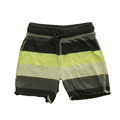 Tea Kids' Boys Gray Green Stripes Shorts