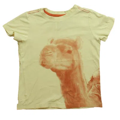 Tea Kids' Boys Ivory Llama T-shirt In Yellow