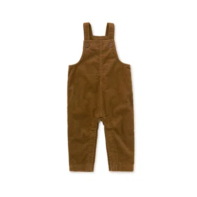 Tea Collection Kids' Corduroy Baby Overalls In Brown