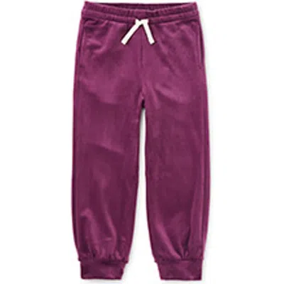 Tea Collection Babies'  Easy Fit Very Velour Joggers In Purple