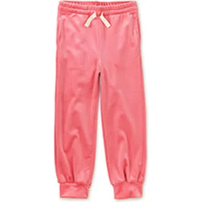 Tea Collection Babies'  Easy Fit Very Velour Joggers In Pink