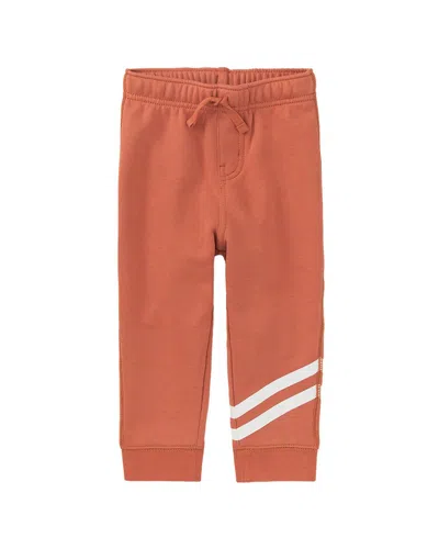 Tea Collection Knit Pant In Brown