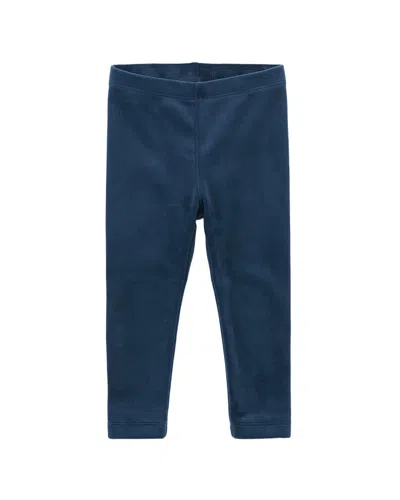 Tea Collection Legging In Blue