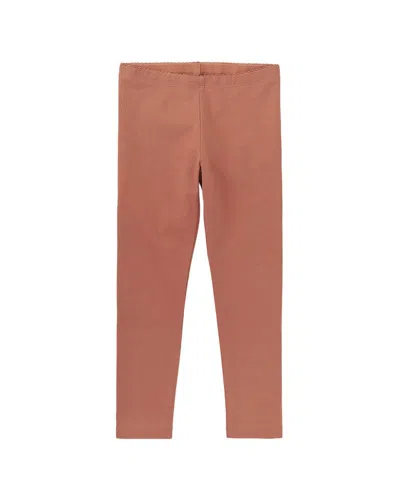 Tea Collection Legging In Brown