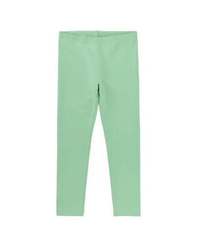Tea Collection Legging In Green