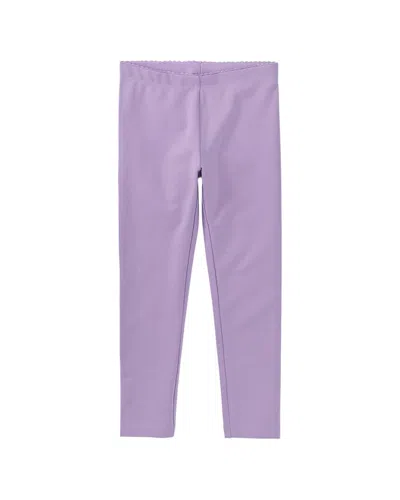 Tea Collection Legging In Purple